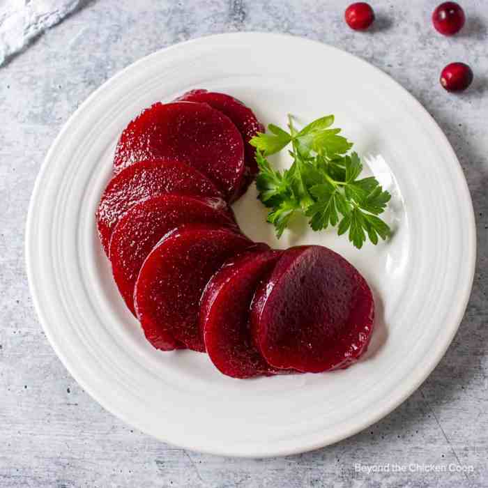 Cranberry sauce can recipe