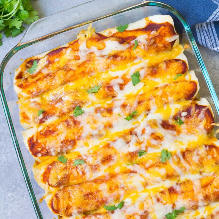 Chicken enchilada recipe with enchilada sauce