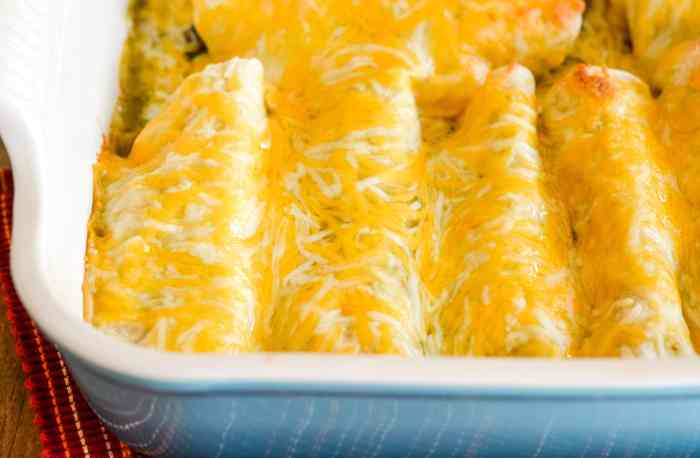 Enchiladas chicken recipe ever enchilada mexican make oven gimmesomeoven authentic dinner meals cheese made some gimme sauce delicious recipes food